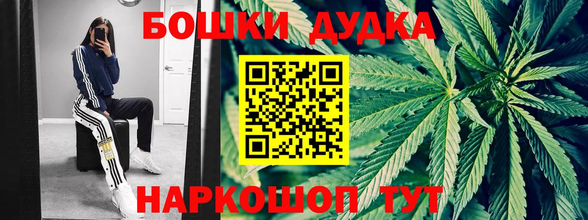 Канабис конопля Сунжа